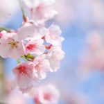 vae787的头像-无忧免费游戏网