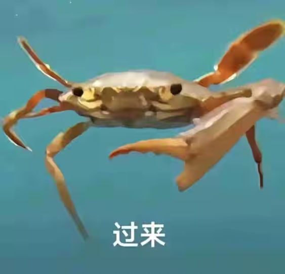 畅所欲言区-无忧免费游戏网