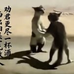 moro的头像-无忧免费游戏网