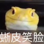 bxr123456的头像-无忧免费游戏网
